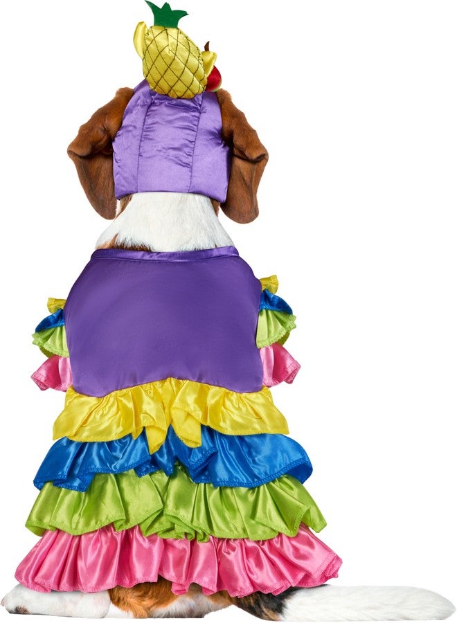 روبيز زي روبيز البرازيلي للحيوانات الأليفة، للكلاب أو القطط، صغير - Image 4